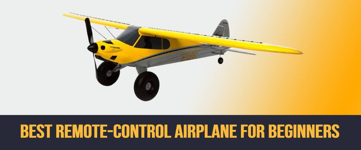 Top 5 Best Remote Control Airplane For Beginners (2022 Review)